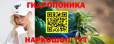 jwh Кинель