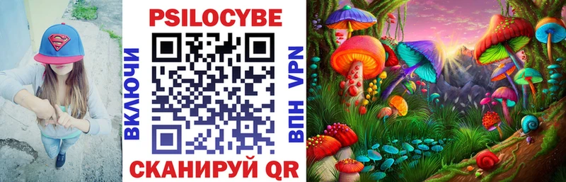 Галлюциногенные грибы Psilocybe  Хасавюрт 