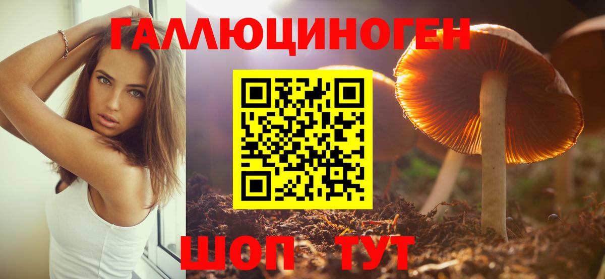 Псилоцибиновые грибы ЛСД Хасавюрт