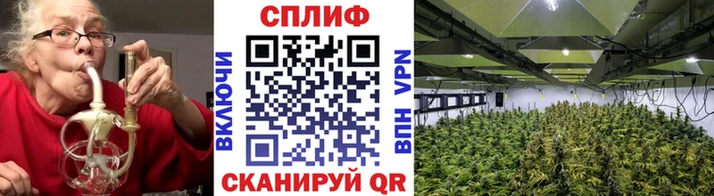 Канабис Ganja  Хасавюрт 
