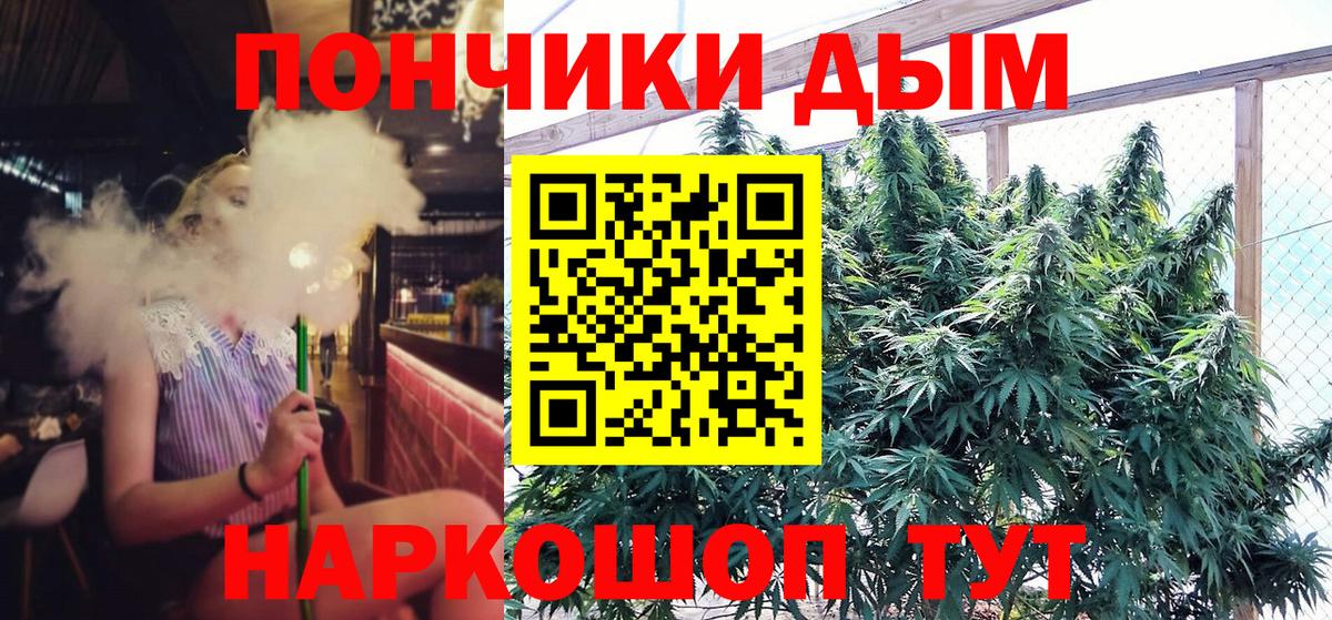 Каннабис индика Хасавюрт